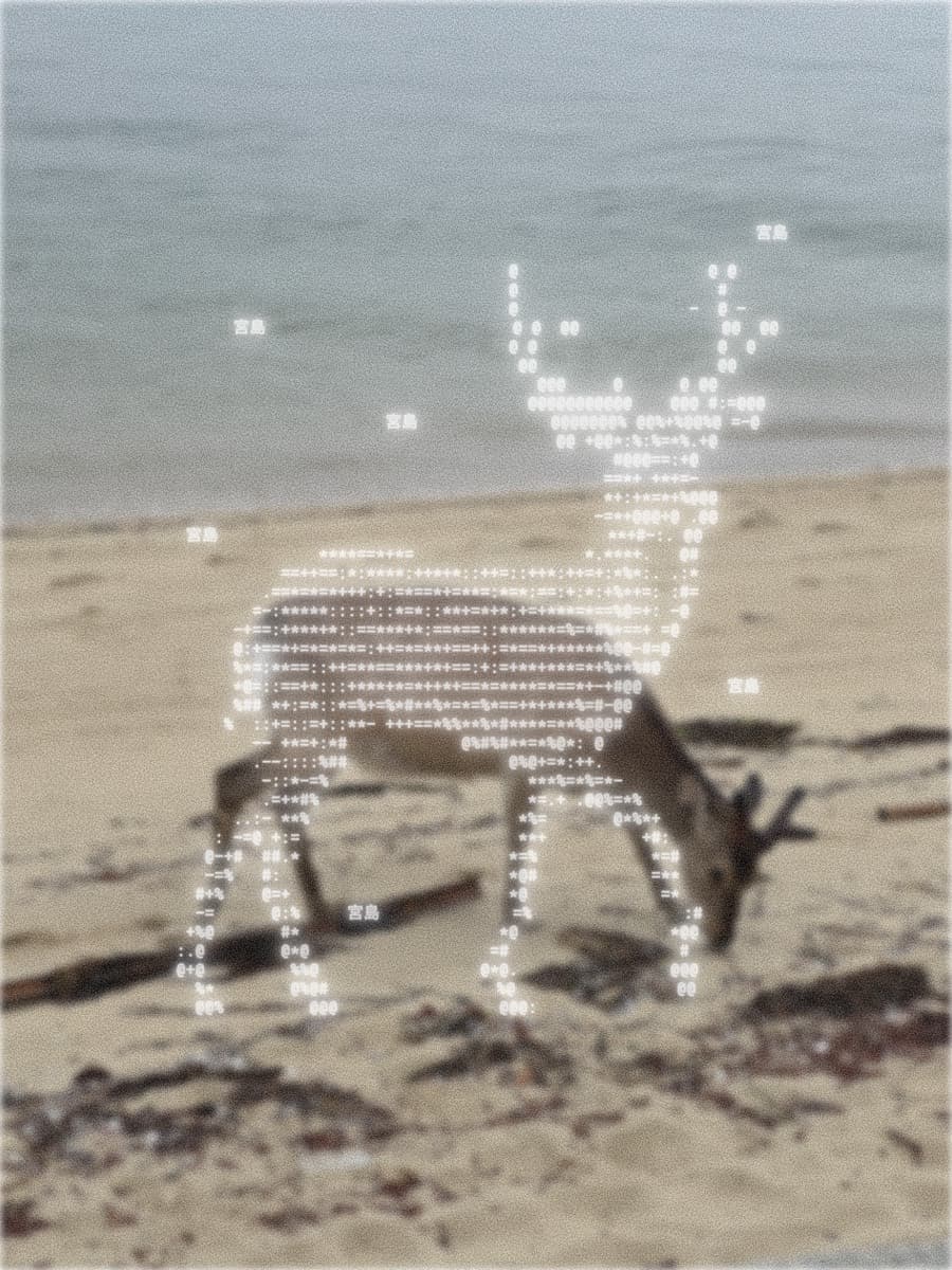 miyajima deer